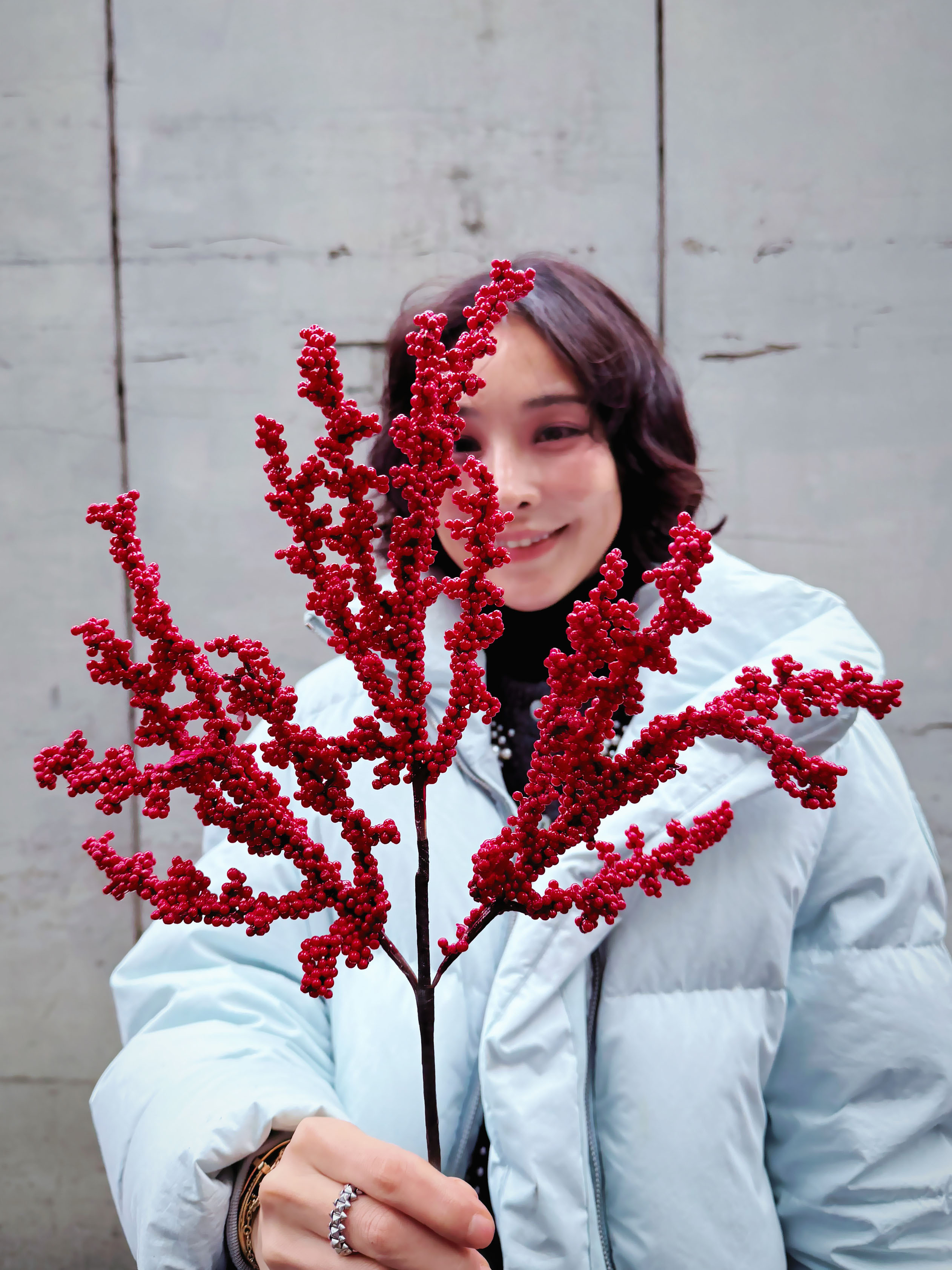 擬真迷你冬青果