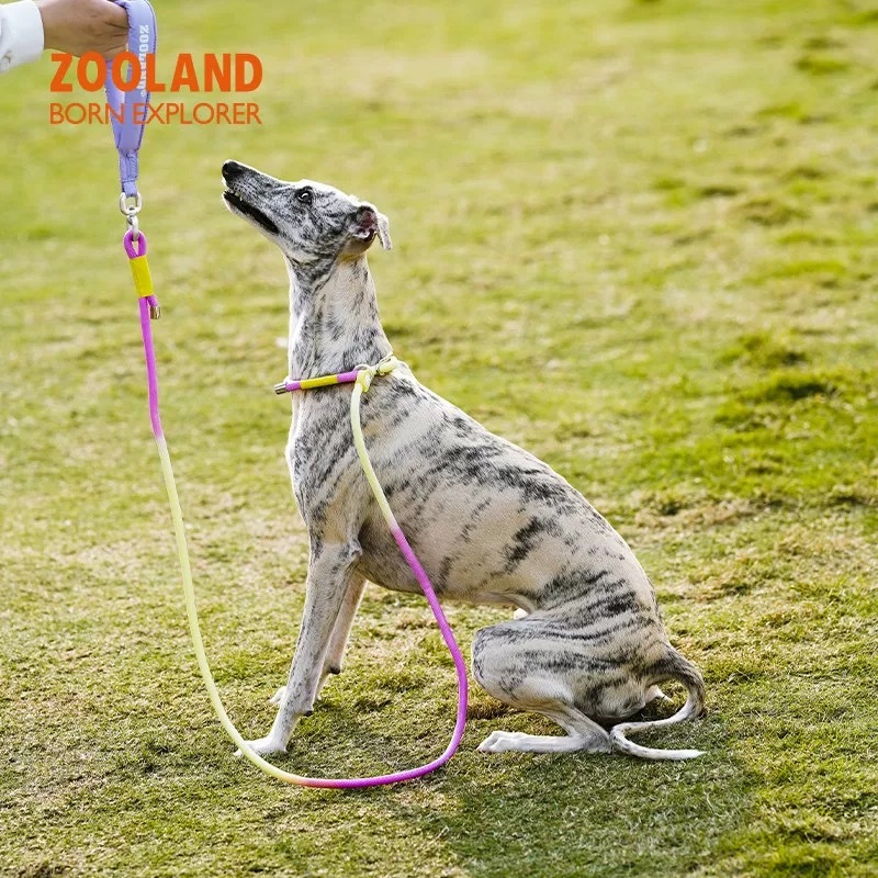 ZOOLAND 狗狗牵引P绳 小中大型犬 遛狗防爆冲 可调节款