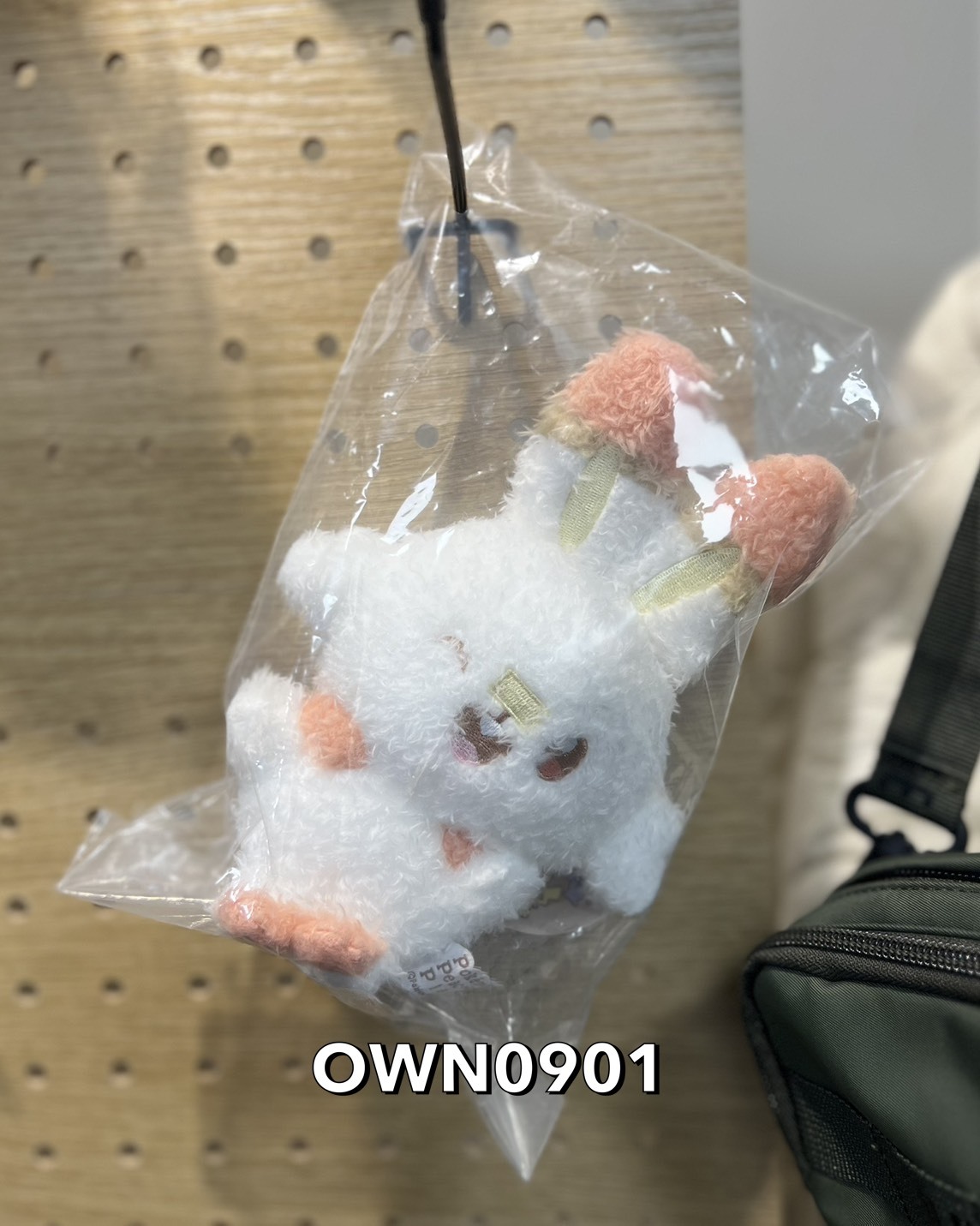 【OWN】寶可夢 吊飾 玩偶 韓國限量 限定聯名款 代購 炎兔兒 pokemon