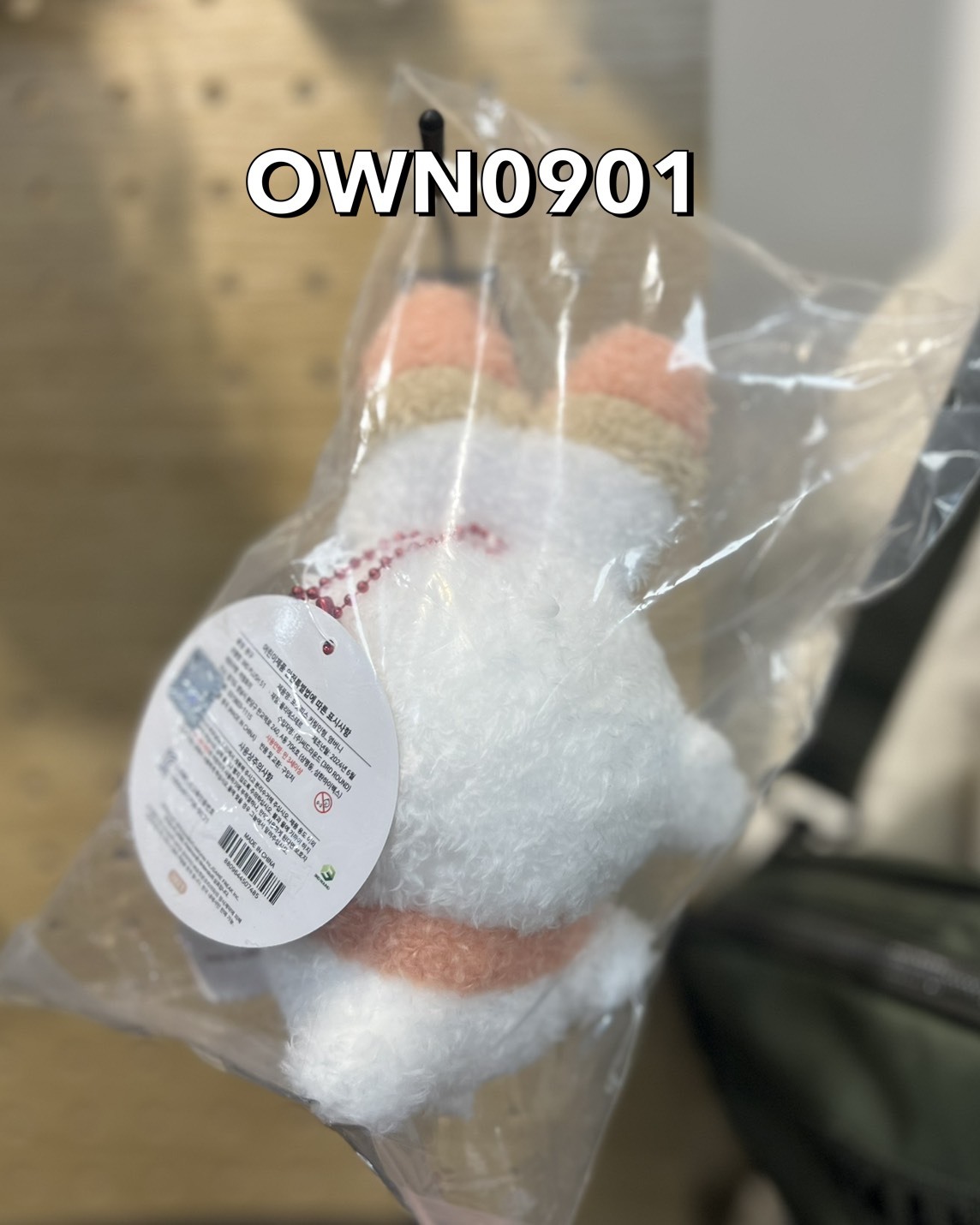 【OWN】寶可夢 吊飾 玩偶 韓國限量 限定聯名款 代購 炎兔兒 pokemon