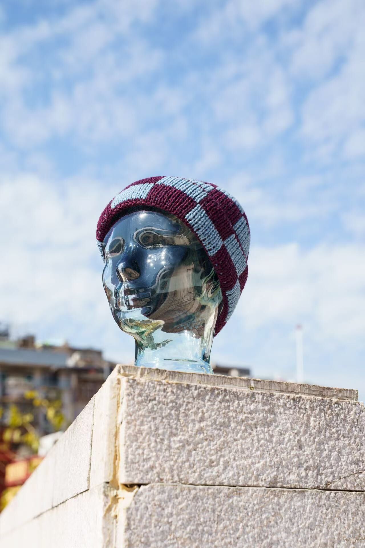 FOUND FEATHER |  Checker Beanie