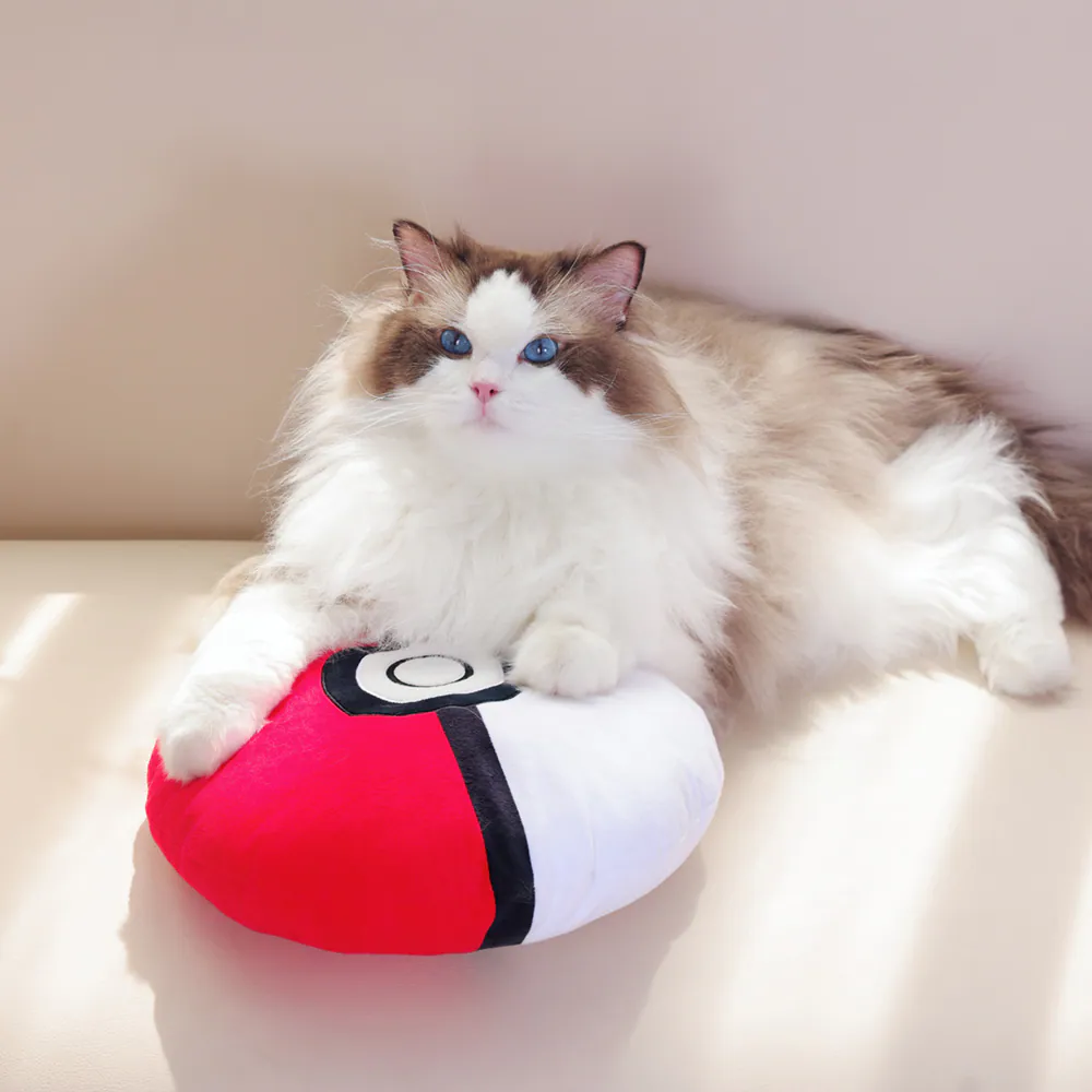 寶可夢寵物抱枕精靈球