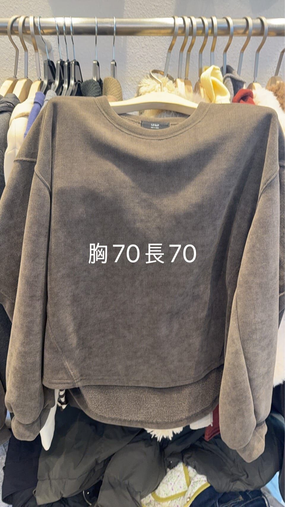 1L5401 內鋪毛衛衣套裝 *特價* (優惠碼同充值購物金不適用)