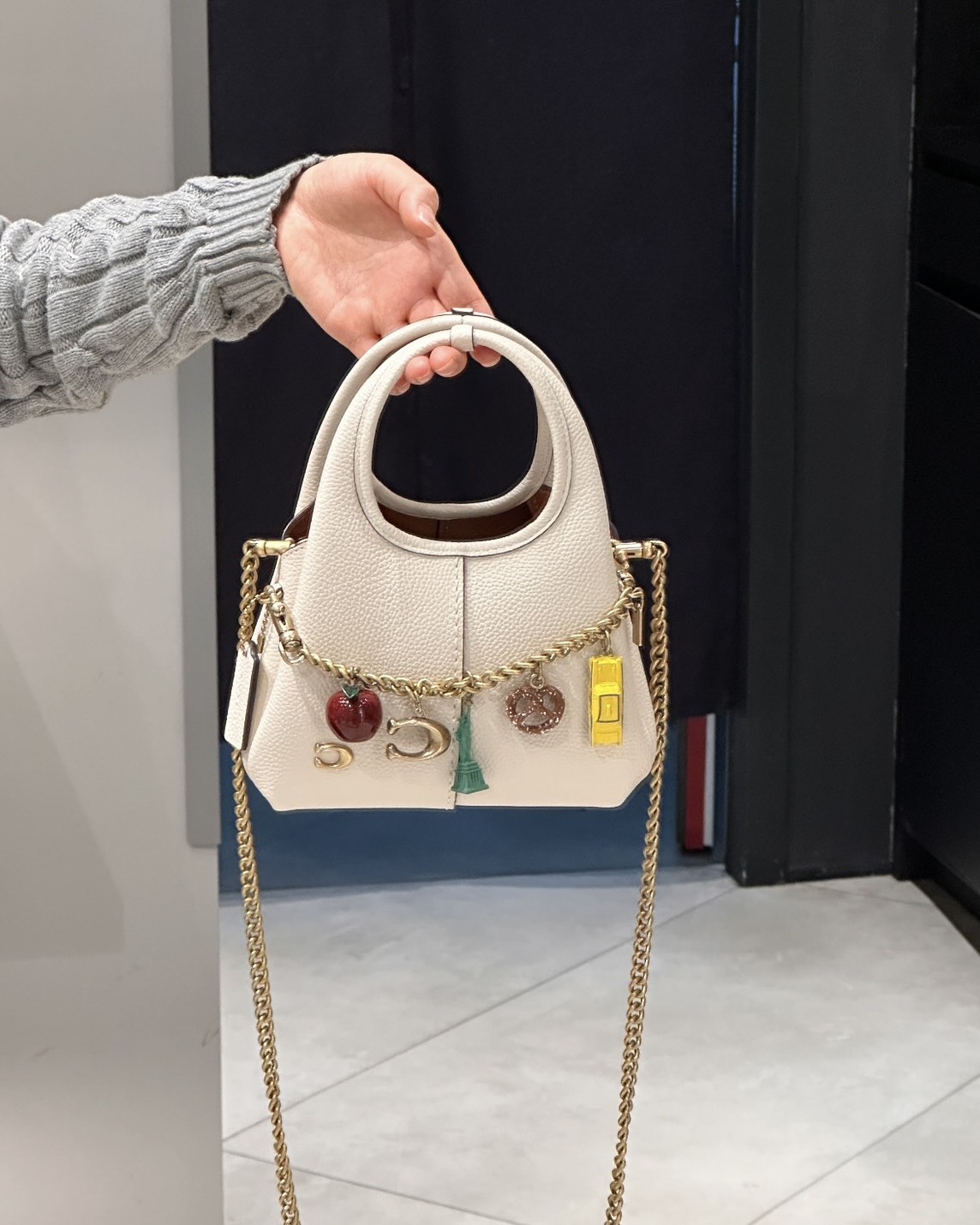 Coach Lana 19 荔枝皮 皮革 麂皮 小巧 手提包 側背包 三色