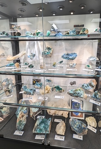 土桑展的精品收藏