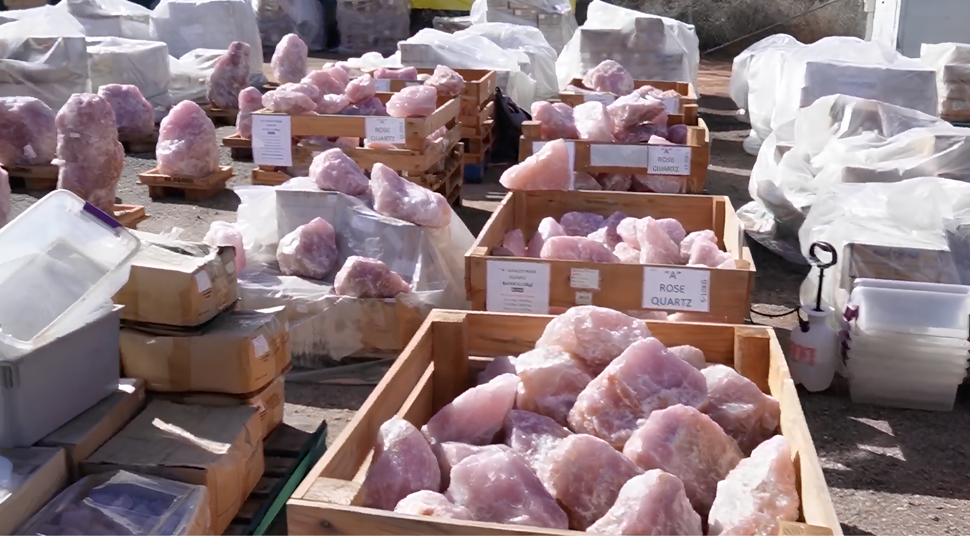 批發土桑展的攤位