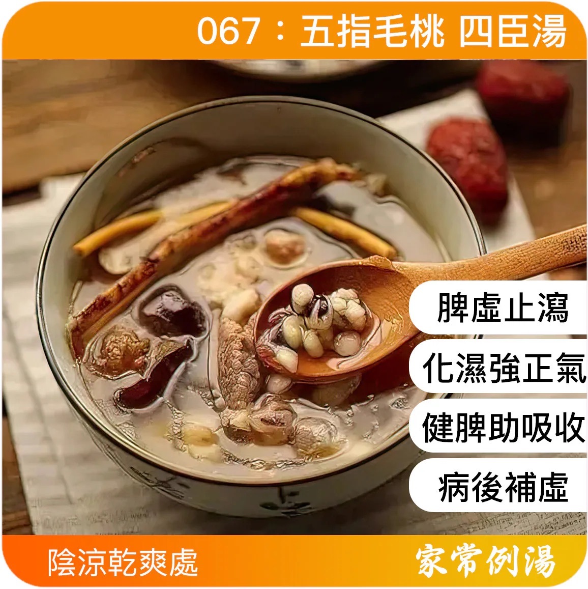 五指毛桃湯-家常例湯強肺湯水-五指毛桃湯推薦