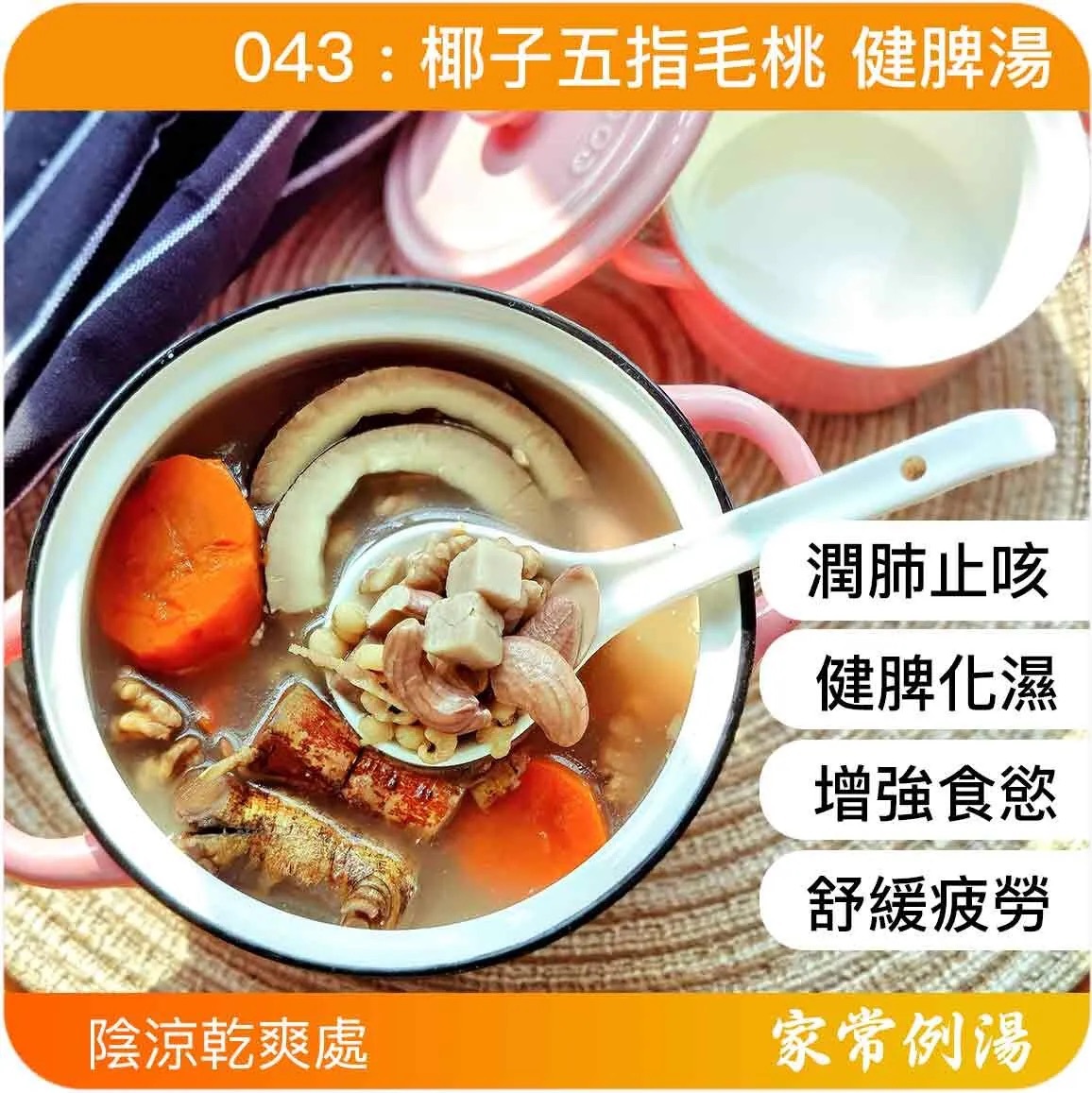 椰子毛桃健脾湯-家常例湯強肺湯水-五指毛桃湯水推薦