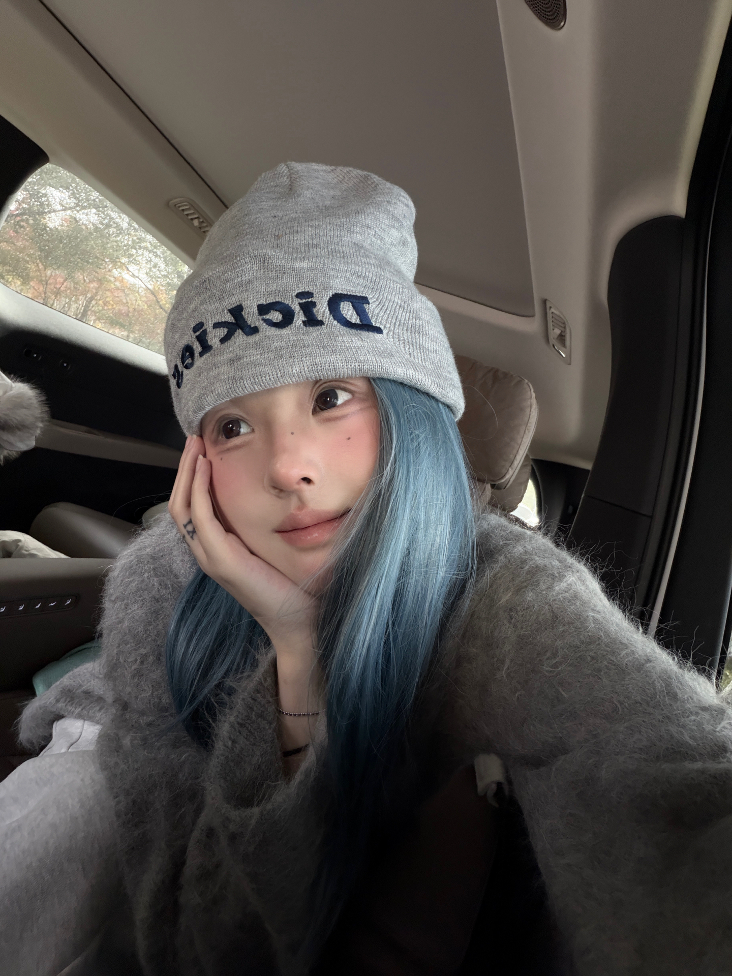 代購-Dickies 刺繡Logo 針織毛帽 13色