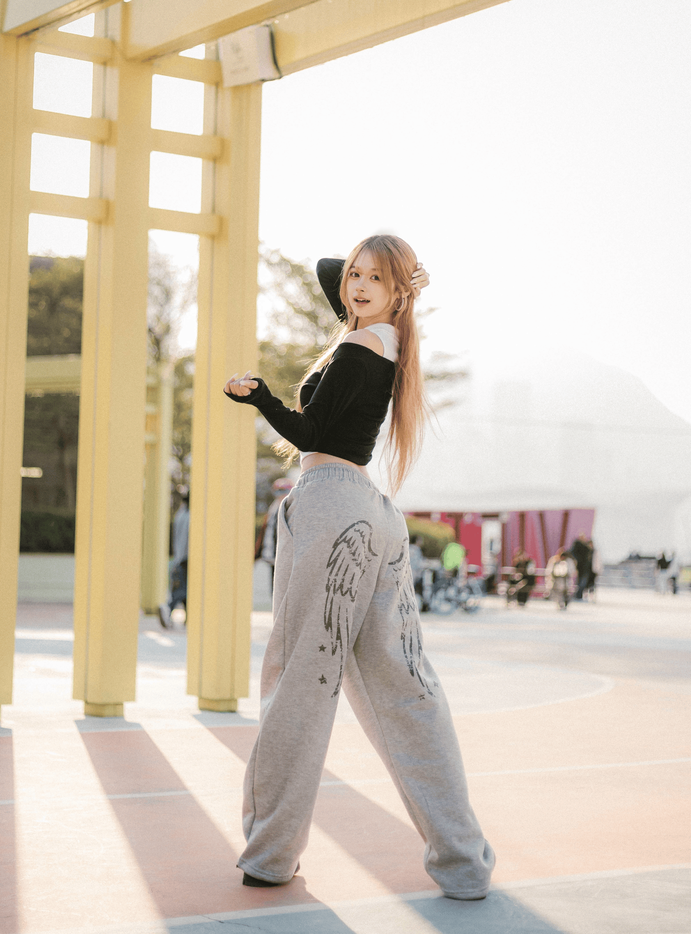 Grey Wings Cotton Pants