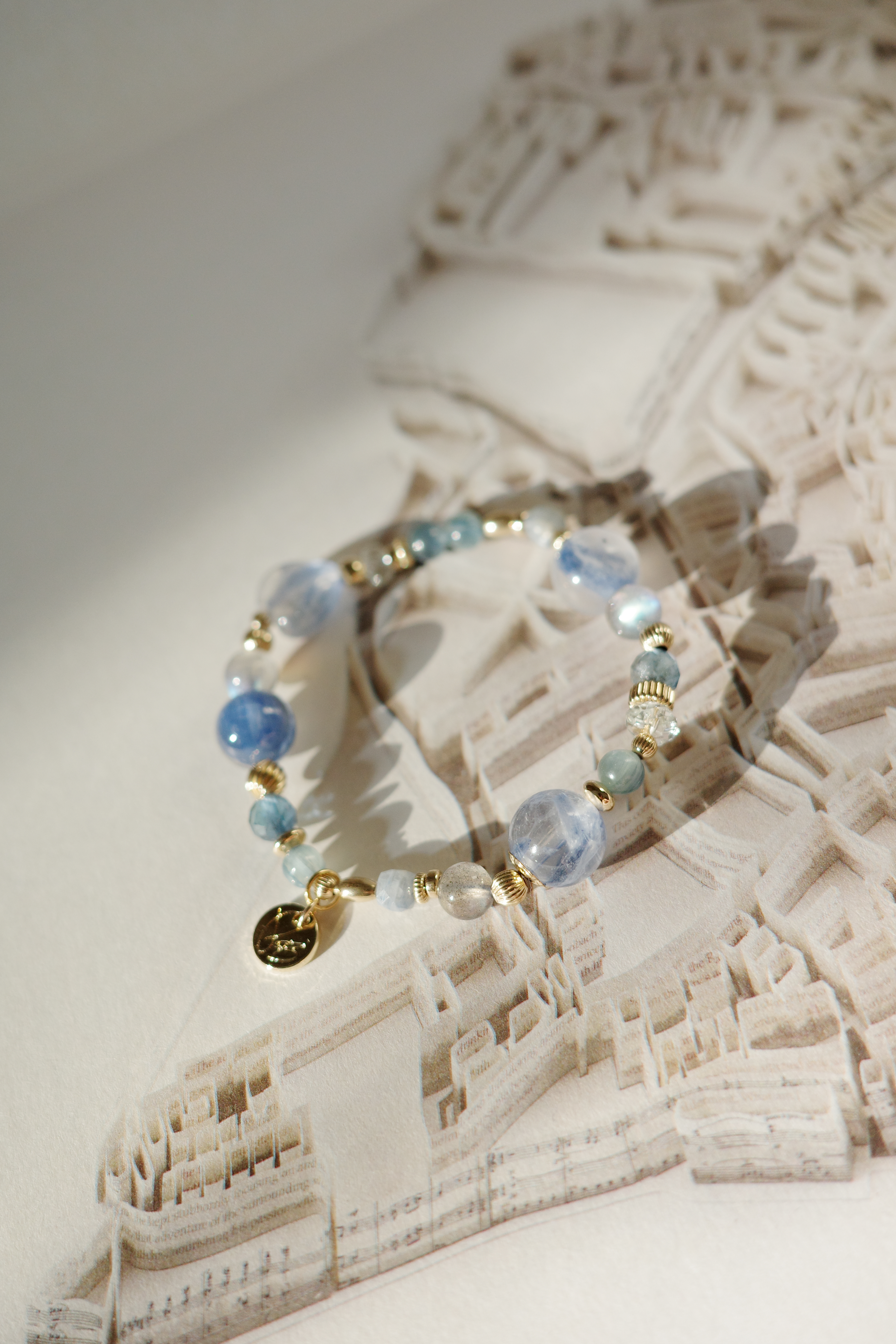 ✦夢與現實之間/園住民會員限定✦