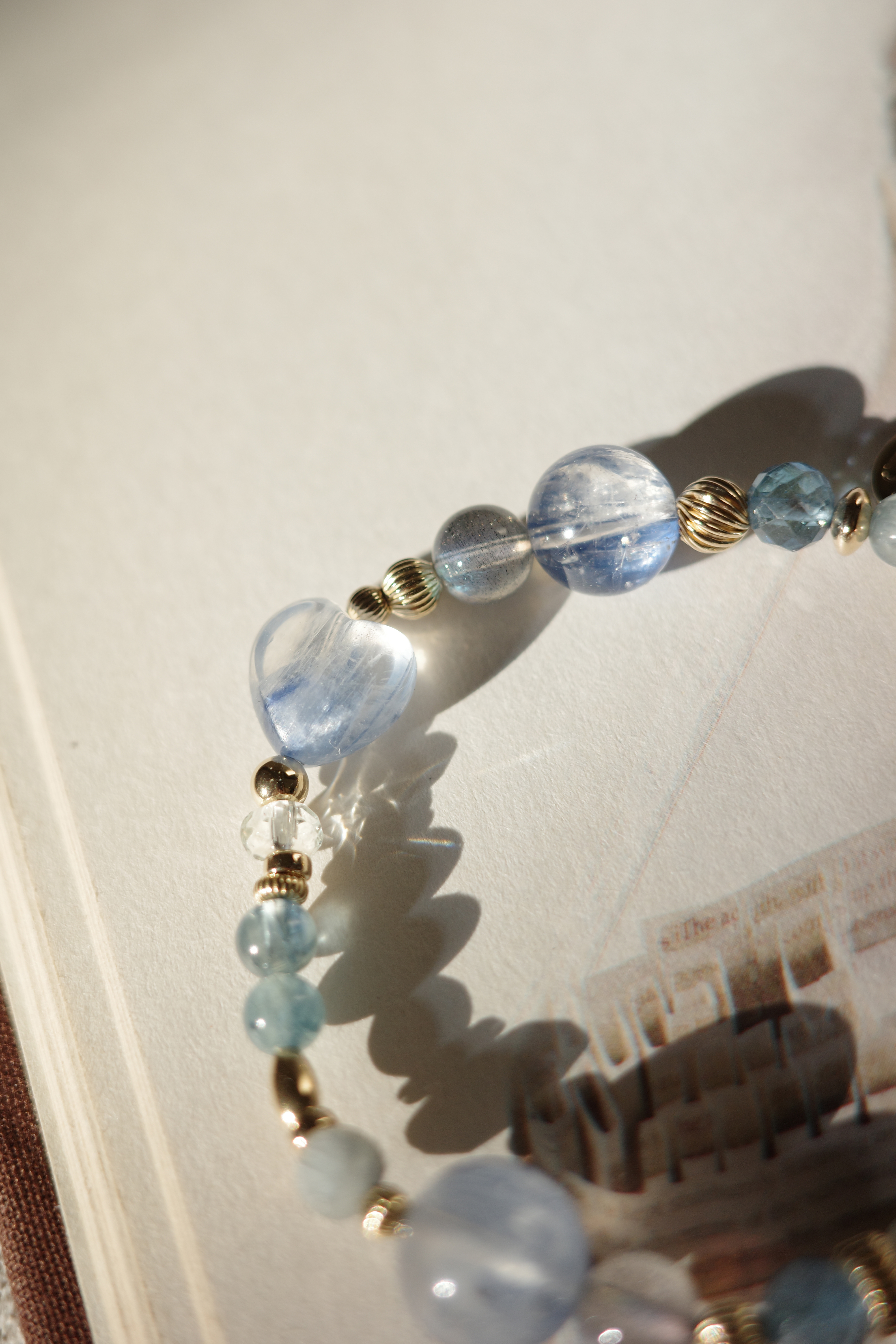 ✦夢與現實之間/園住民會員限定✦