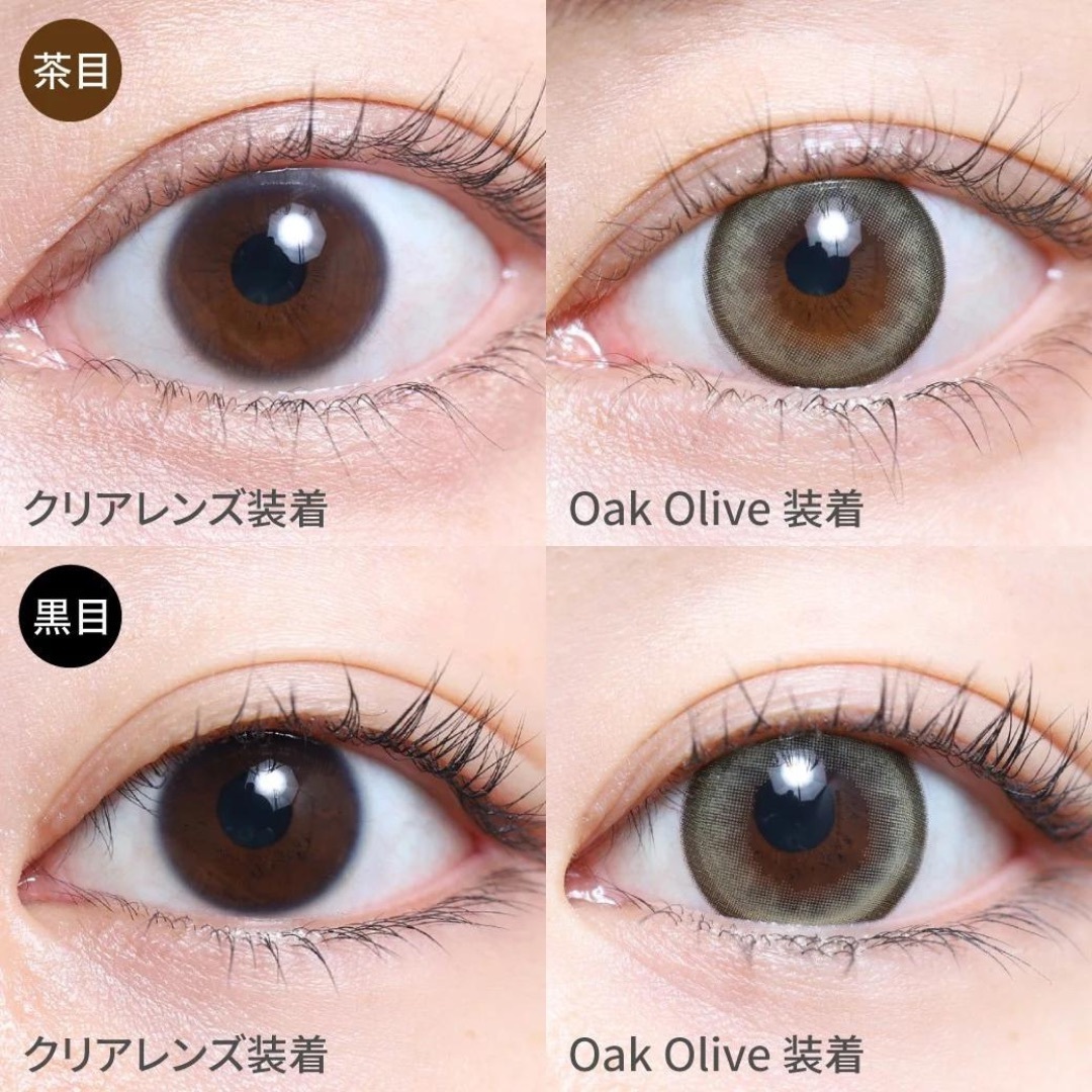 [日拋] TeAmo Natural Half 1 Day Oak Olive 有色彩妝隱形眼鏡｜每盒10片