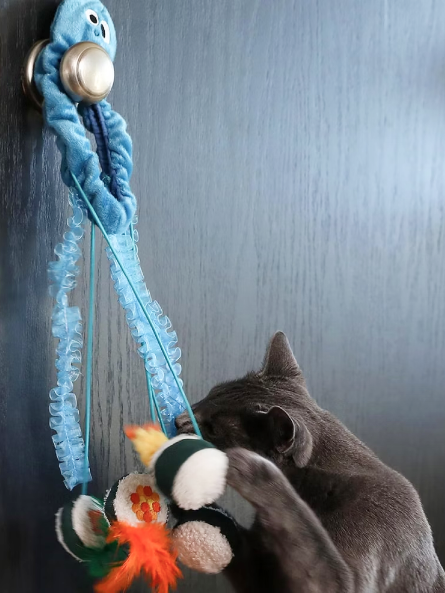 【MAD CAT】壽司貓薄荷門掛逗貓玩具