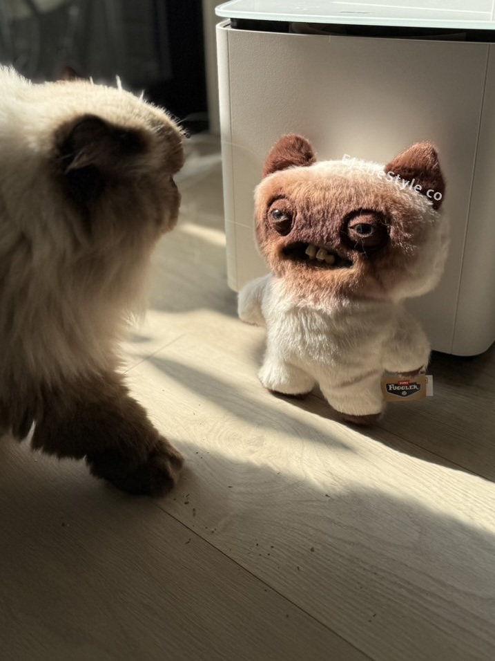 FUGGLER 牙齒怪 放克牙寶 狂野喵星人 貓咪 9吋 公仔 玩偶 娃娃 / 現貨