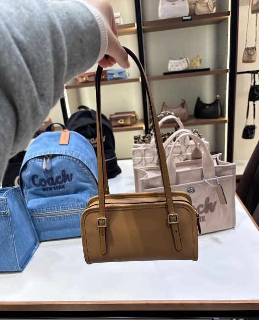 【預購】COACH H012350 Swing Zip 20