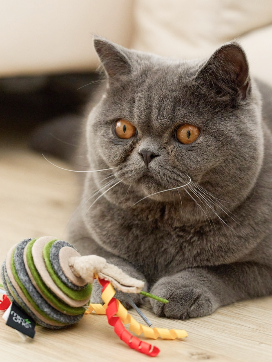 【Minus One 邁樂思】環保毛氈系列 貓咪吊掛玩具｜疊疊球