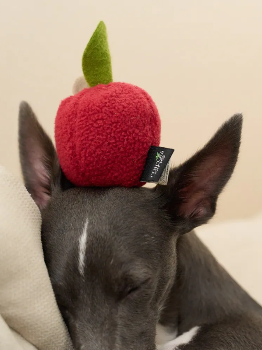 【Minus One 邁樂思】造型貓草系列 水果造型貓草玩具｜萊姆蘋果