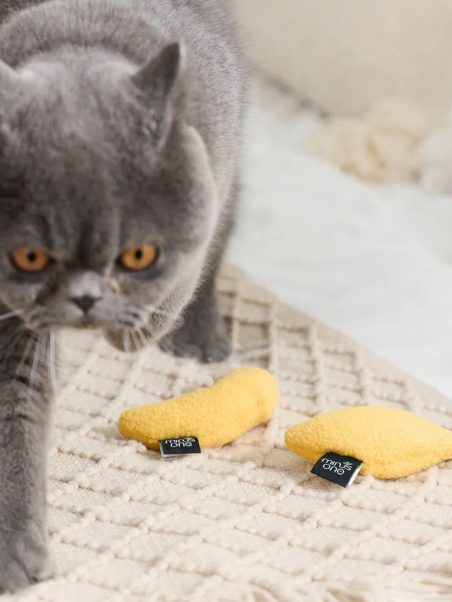 【Minus One 邁樂思】造型貓草系列 水果造型貓草玩具｜酪梨香蕉