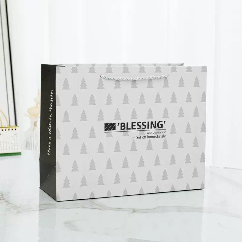 日常 paperbag gift bag 颜色随机19.5 x 14.5x 8.5cm