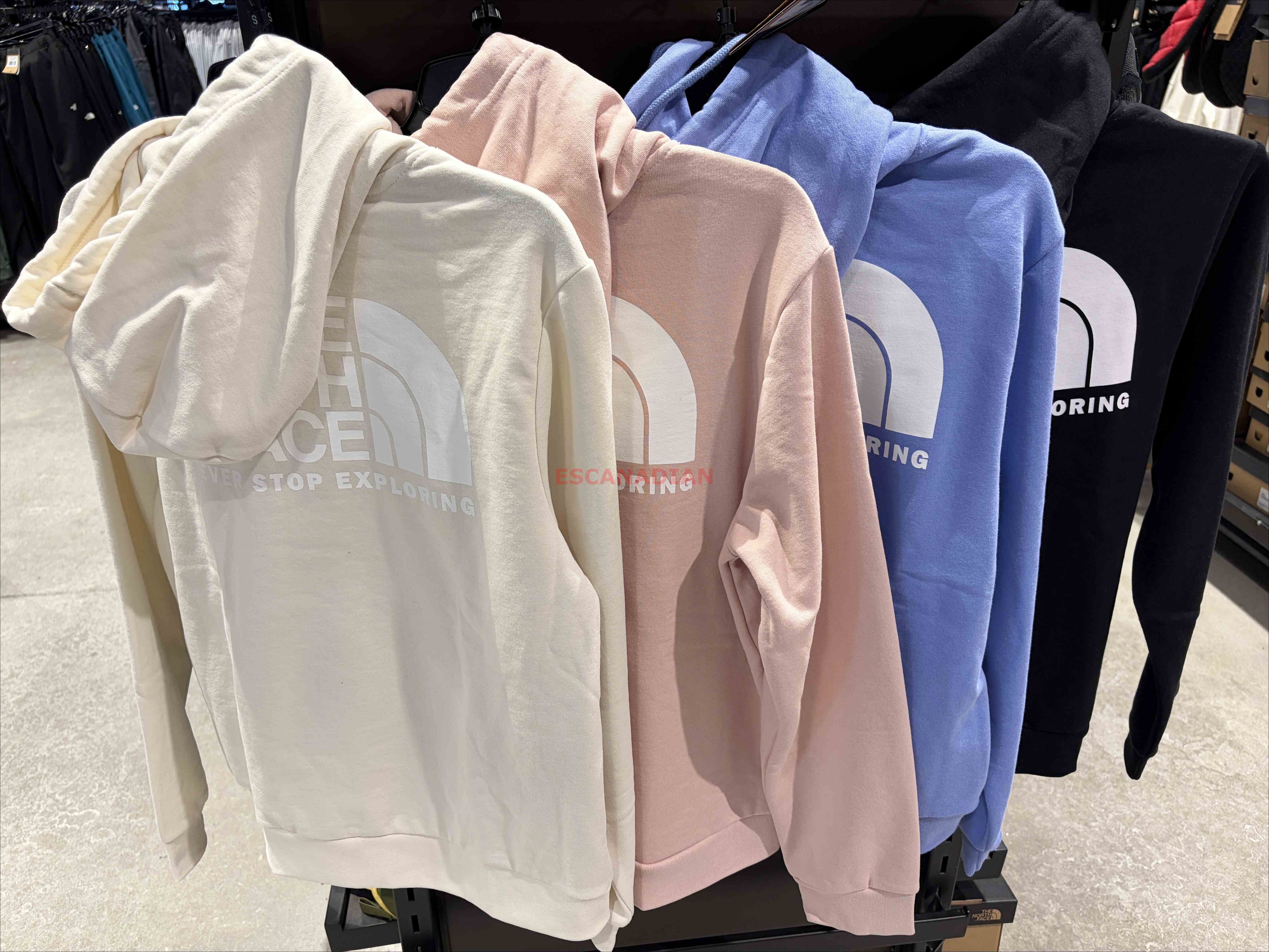 THE NORTH FACE 女大人 經典正反LOGO 刷毛 帽TEE (前小後大) (4色)