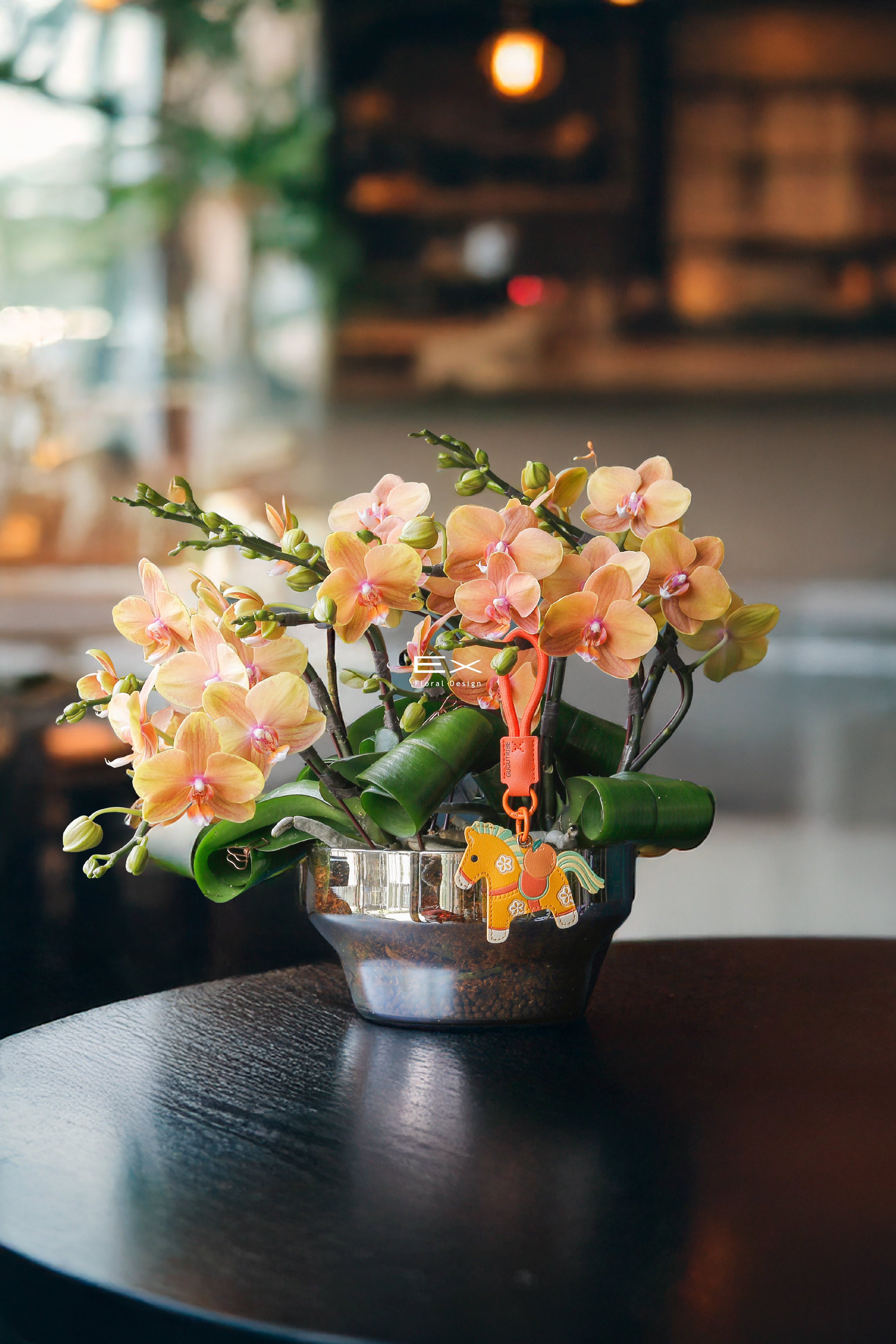 橙映吉時 Auspicious Orange Glow｜蝴蝶蘭花禮