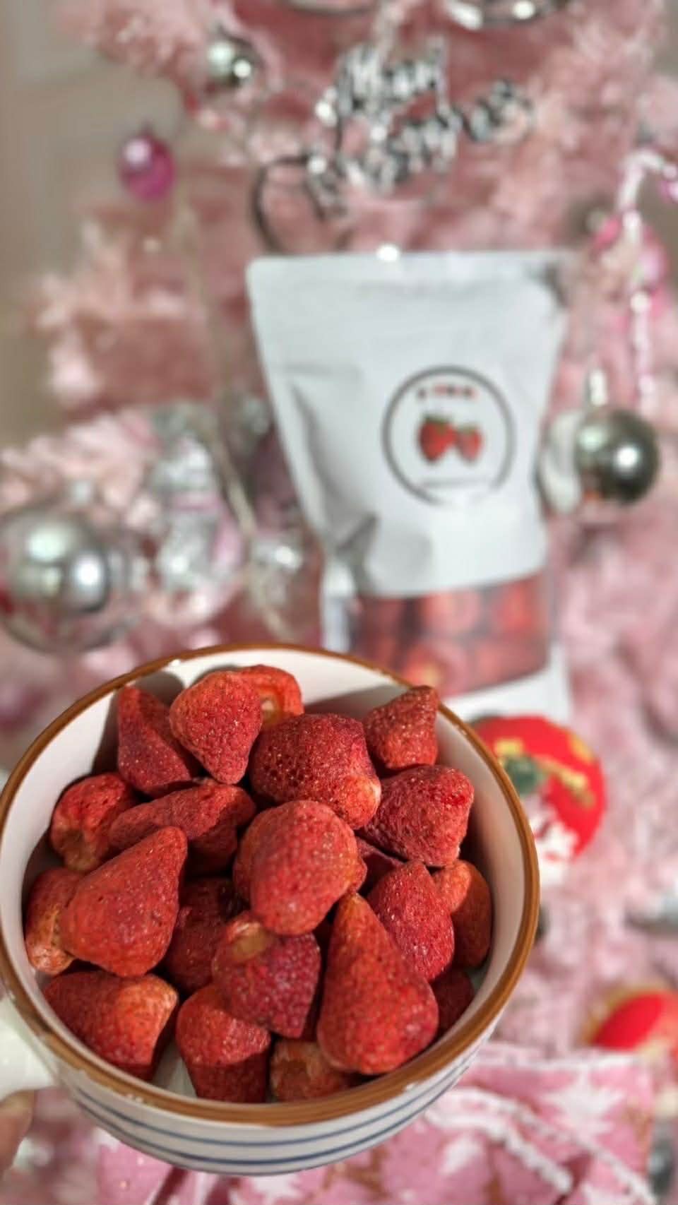 台南院｜草莓乾