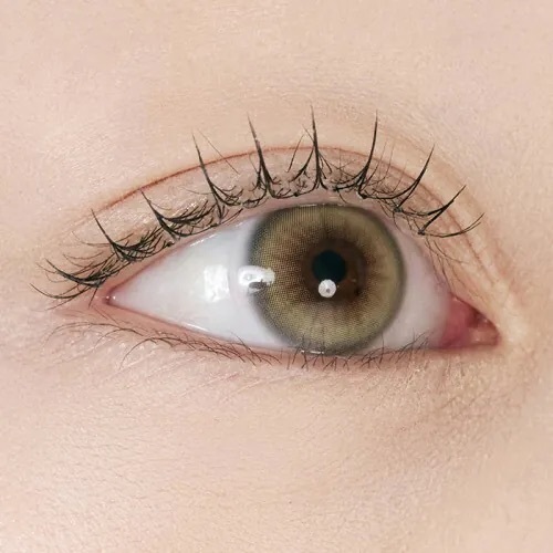 [日拋] I-DOL Bad Cat 1 Day Siamese Beige｜日拋彩妝隱形眼鏡｜每盒10片