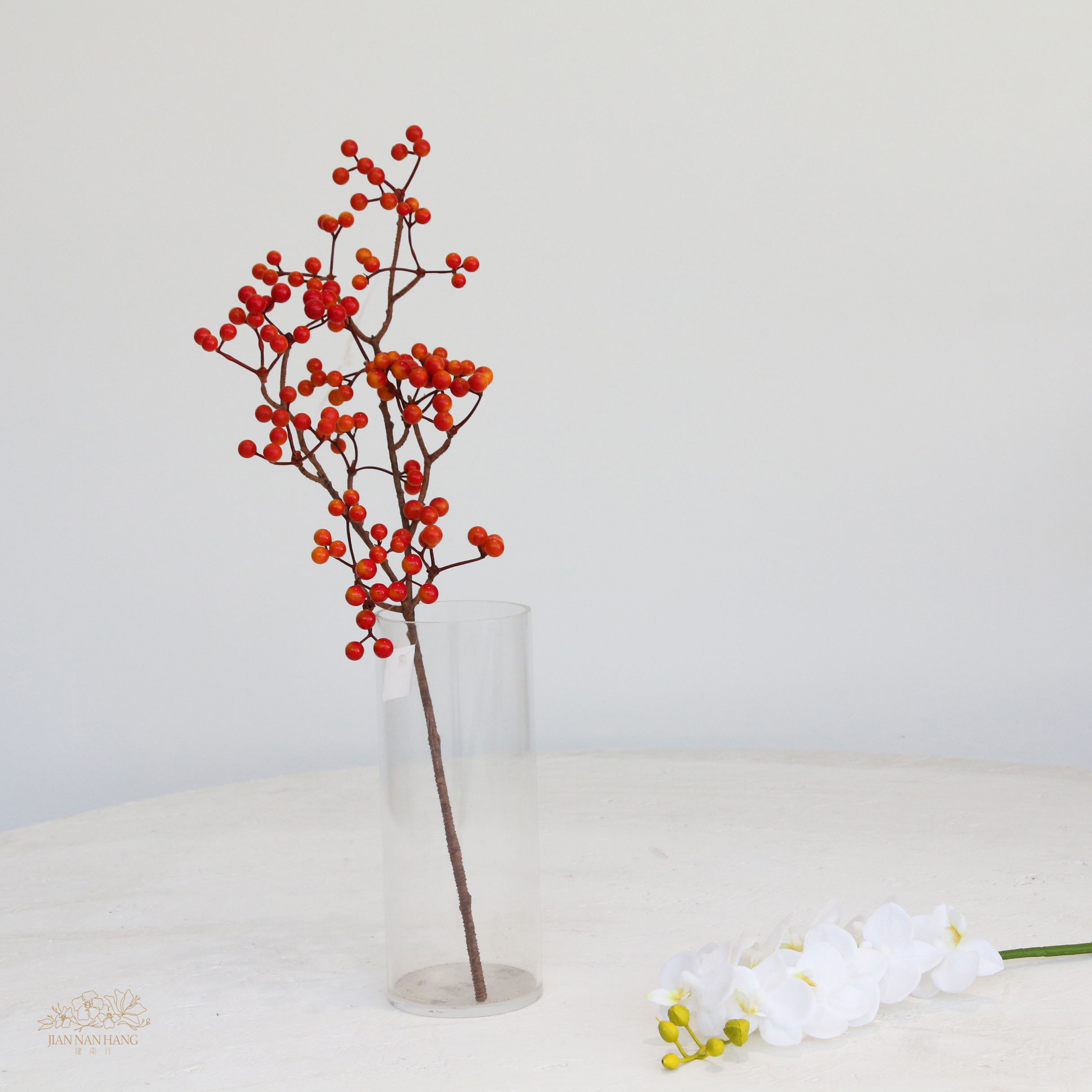 人造果  果實長枝 橘