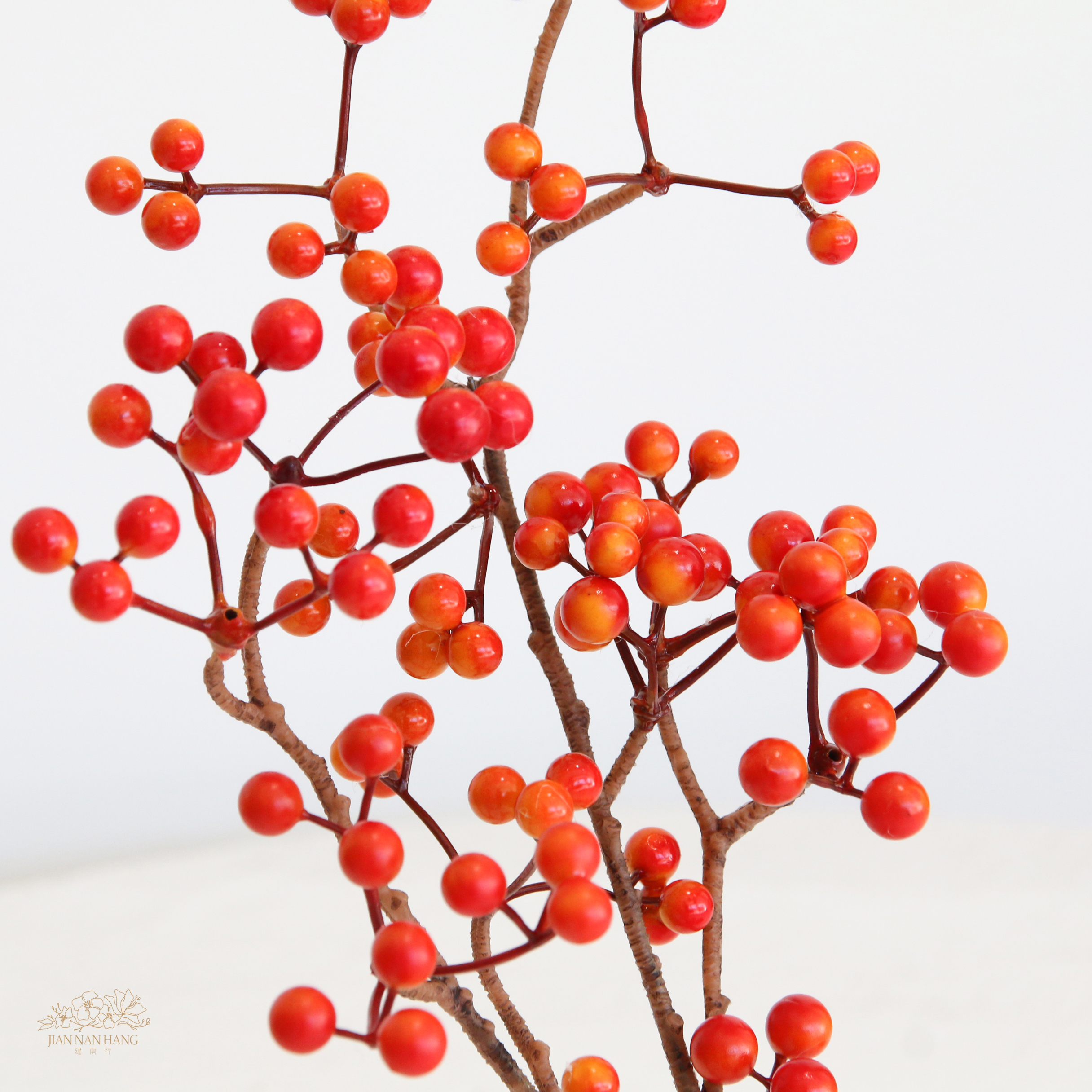 人造果  果實長枝 橘