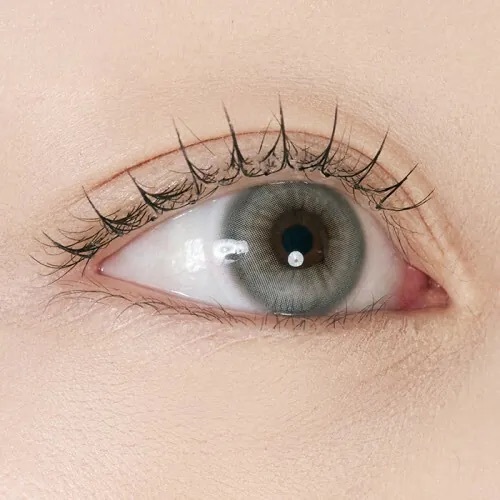 [日拋] I-DOL Bad Cat 1 Day Egyptian Gray｜日拋彩妝隱形眼鏡｜每盒10片