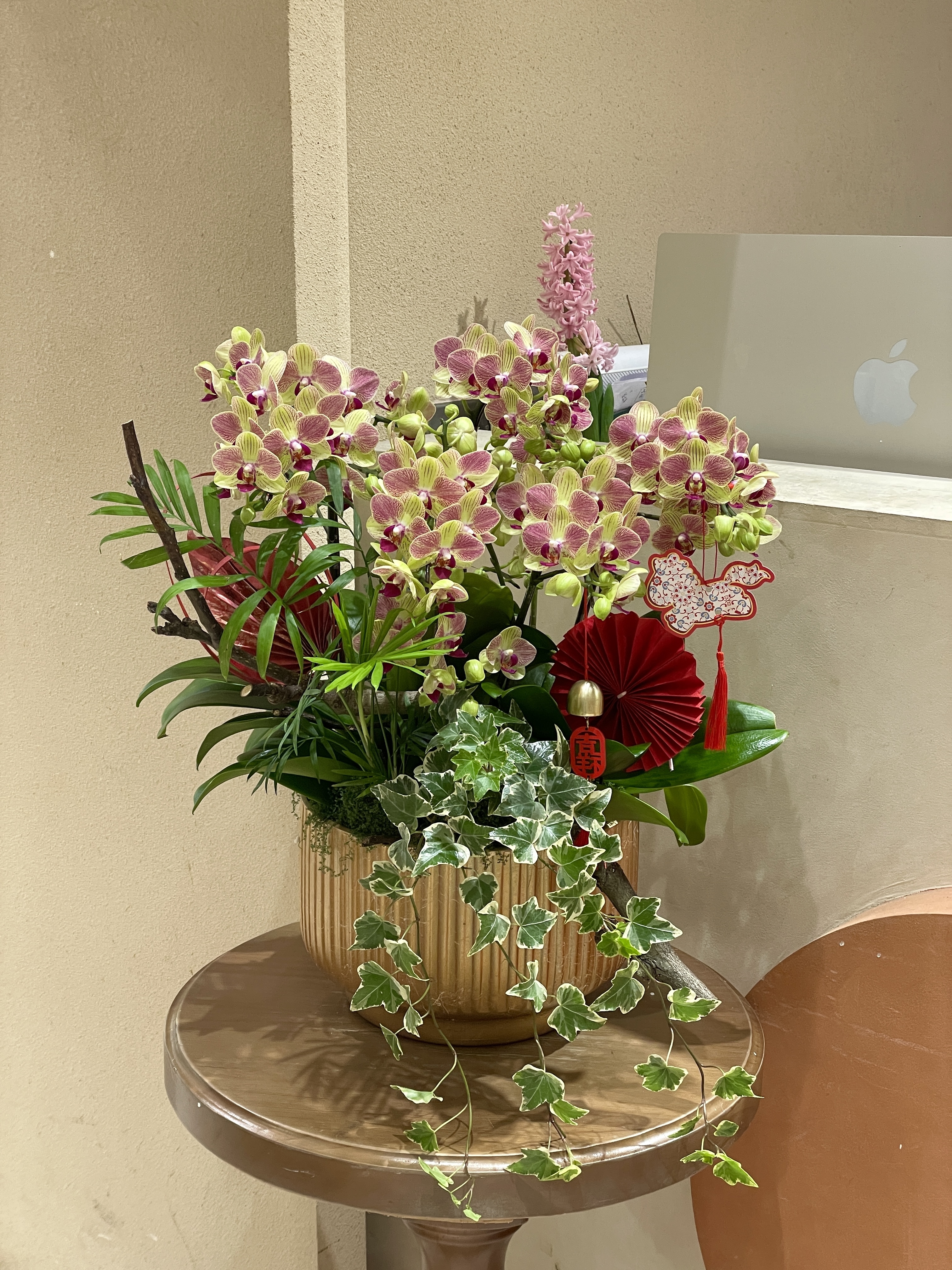 新年蘭花 馬年13