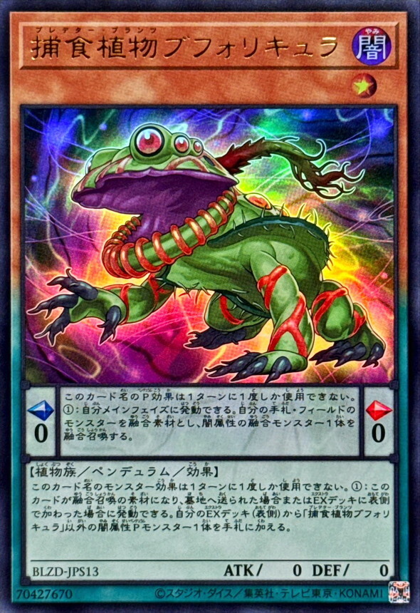 BLZD-JPS13 捕食植物ブフォリキュラ