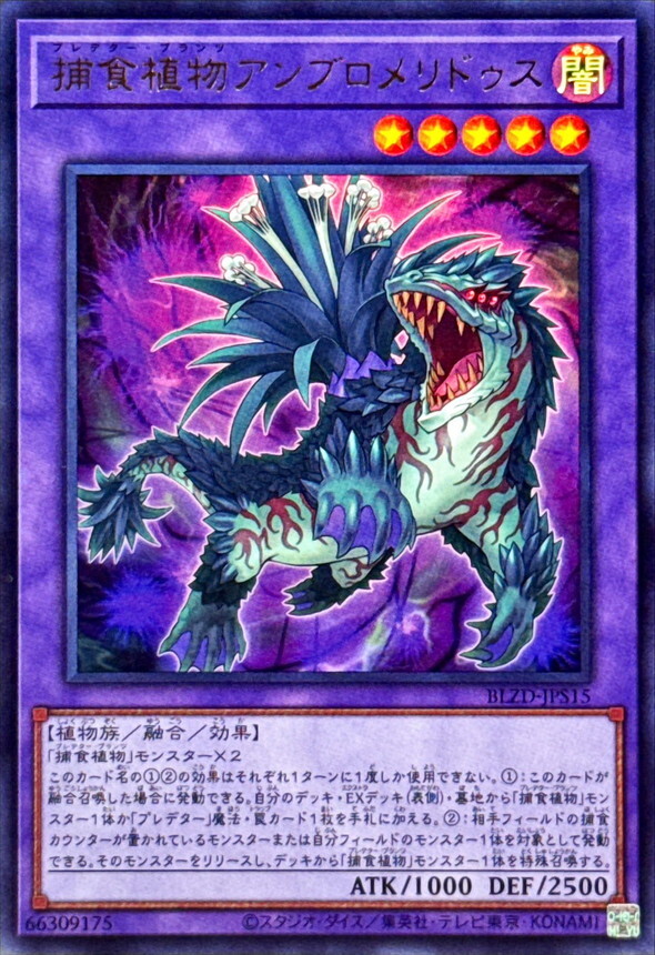 BLZD-JPS15 捕食植物アンブロメリドゥス