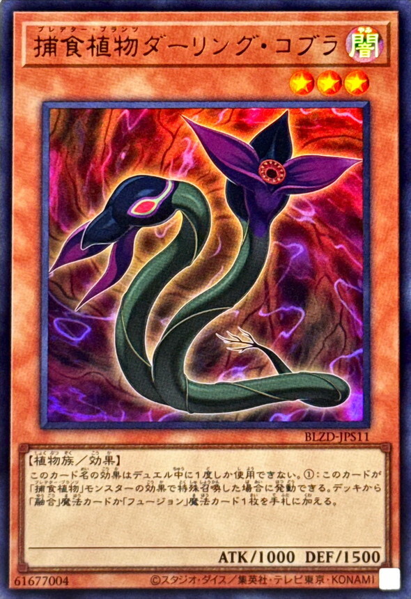 BLZD-JPS11 捕食植物ダーリングコブラ