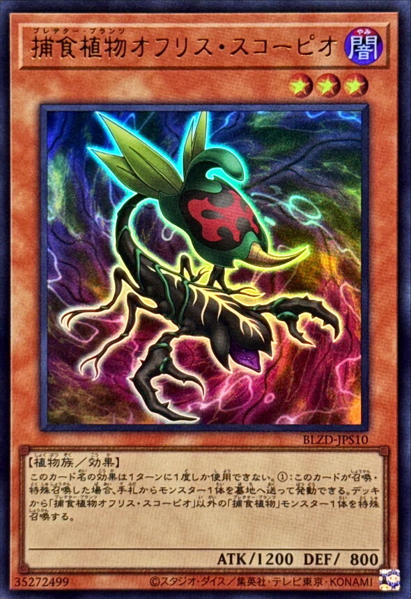 BLZD-JPS10 捕食植物オフリススコーピオ