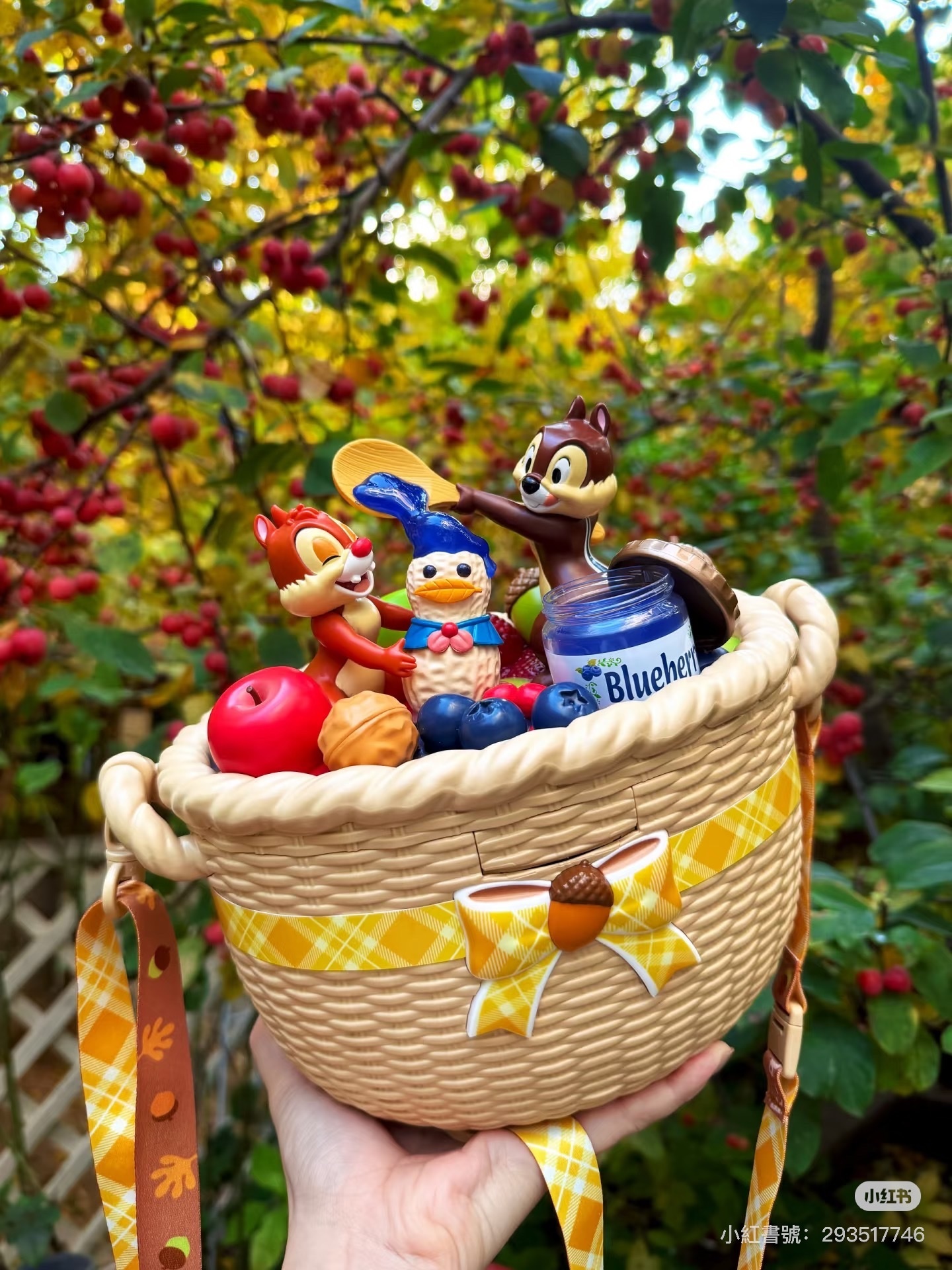 【直播】LX0124800 日本迪士尼特別版收納盒