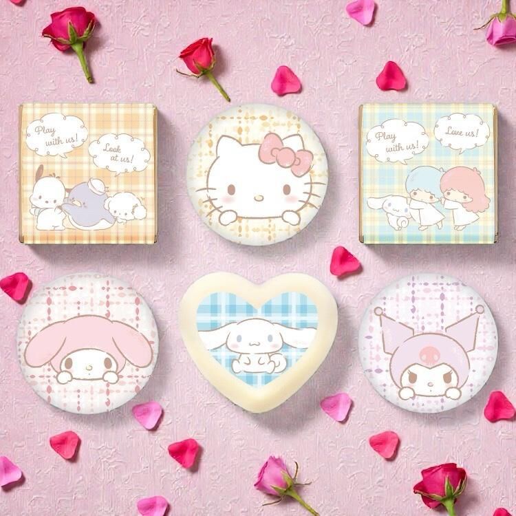 26050-MIX Sanrio 主角大集合情人節朱古力禮盒 6粒裝 #JP-FB26-6PCS