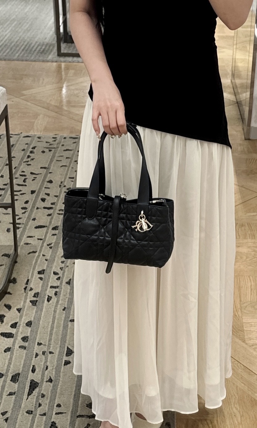 Dior Toujours袋 (橫版) 小號 黑色
