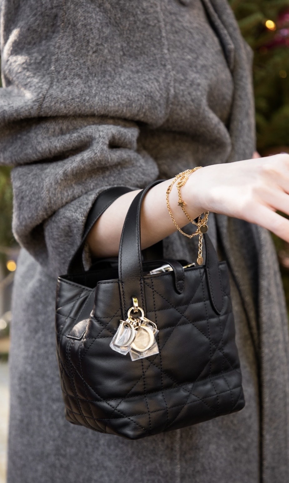 【3色入】Dior Toujours Tote Bag 小號