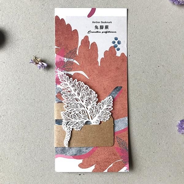 蕨類標本紙雕 兔角蕨 紙雕書籤｜只有蕨Fern Only 臺灣