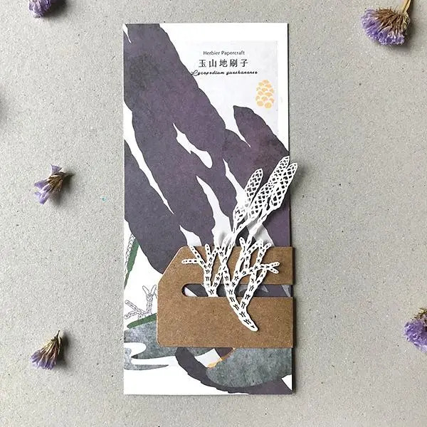 蕨類標本紙雕 玉山地刷子 紙雕書籤｜只有蕨Fern Only 臺灣