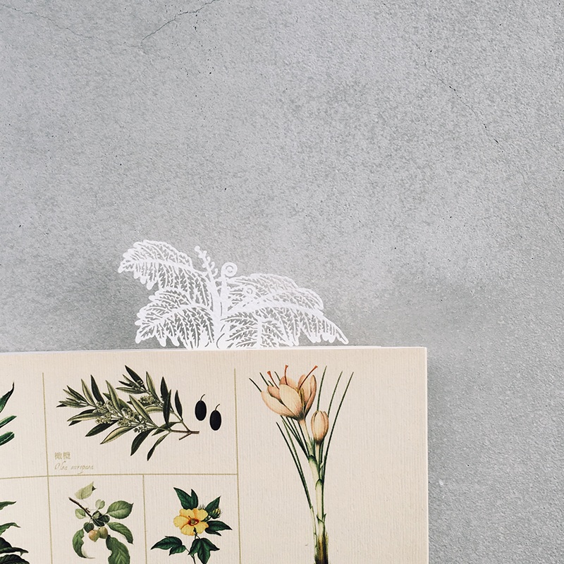 蕨類標本紙雕 筆筒樹 紙雕書籤｜只有蕨Fern Only 臺灣