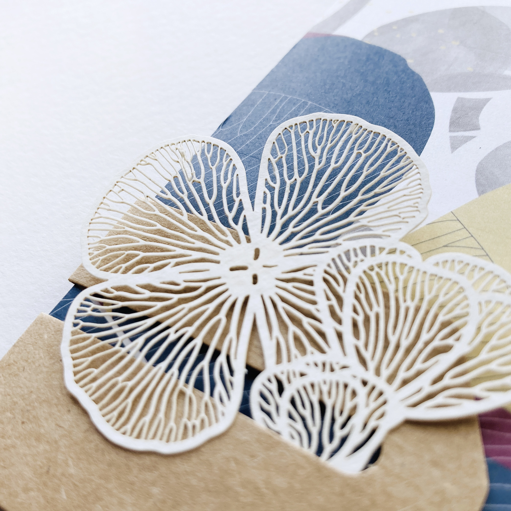 蕨類標本紙雕 田字草 紙雕書籤｜只有蕨Fern Only 臺灣