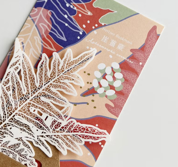 蕨類標本紙雕 崖龍蕨 紙雕書籤｜只有蕨Fern Only 臺灣