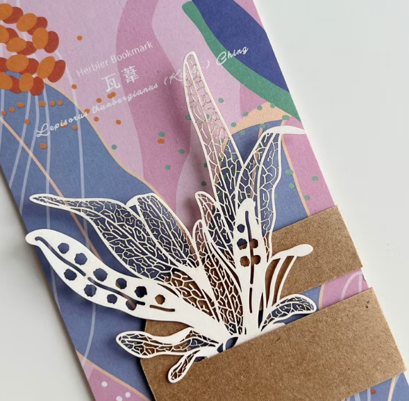 蕨類標本紙雕 瓦葦 紙雕書籤｜只有蕨Fern Only 臺灣