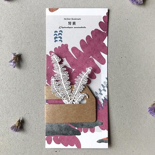 蕨類標本紙雕 腎蕨 紙雕書籤｜只有蕨Fern Only 臺灣