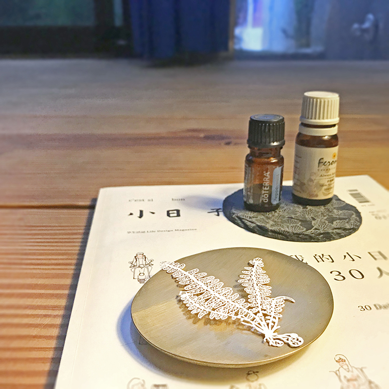 蕨類標本紙雕 腎蕨 紙雕書籤｜只有蕨Fern Only 臺灣