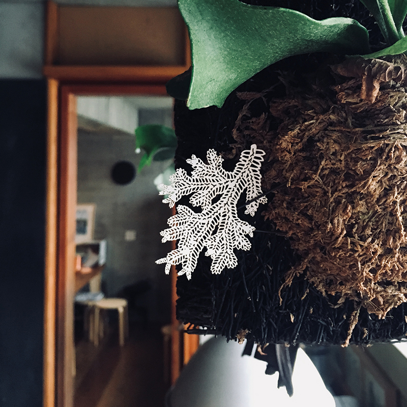 蕨類標本紙雕 生根卷柏 紙雕書籤｜只有蕨Fern Only 臺灣