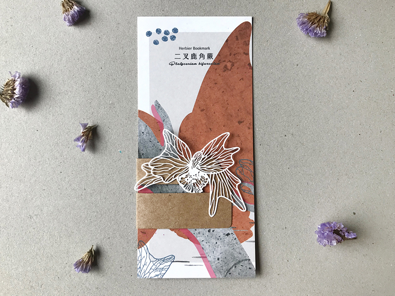 蕨類標本紙雕 二叉鹿角蕨 紙雕書籤｜只有蕨Fern Only 臺灣